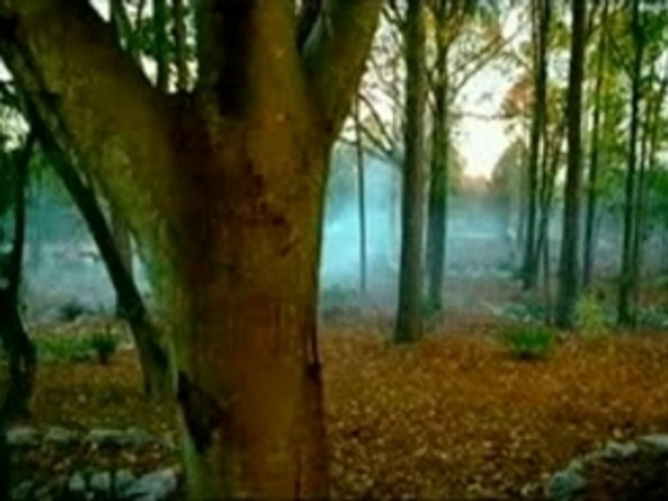 2Pac.feat.Ashanti.&.T.I.