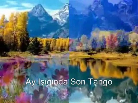 - · •Mustafa Ceceli - Limon Çiçekleri - · •