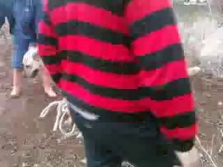 kırıkkaleden bozo ve tosun