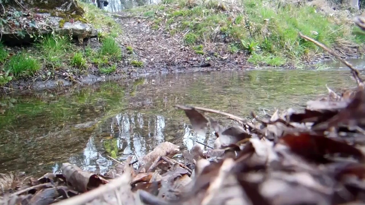 video sortie vtt