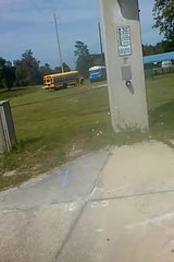 Walking home from Deltona High and almost got hit by a car