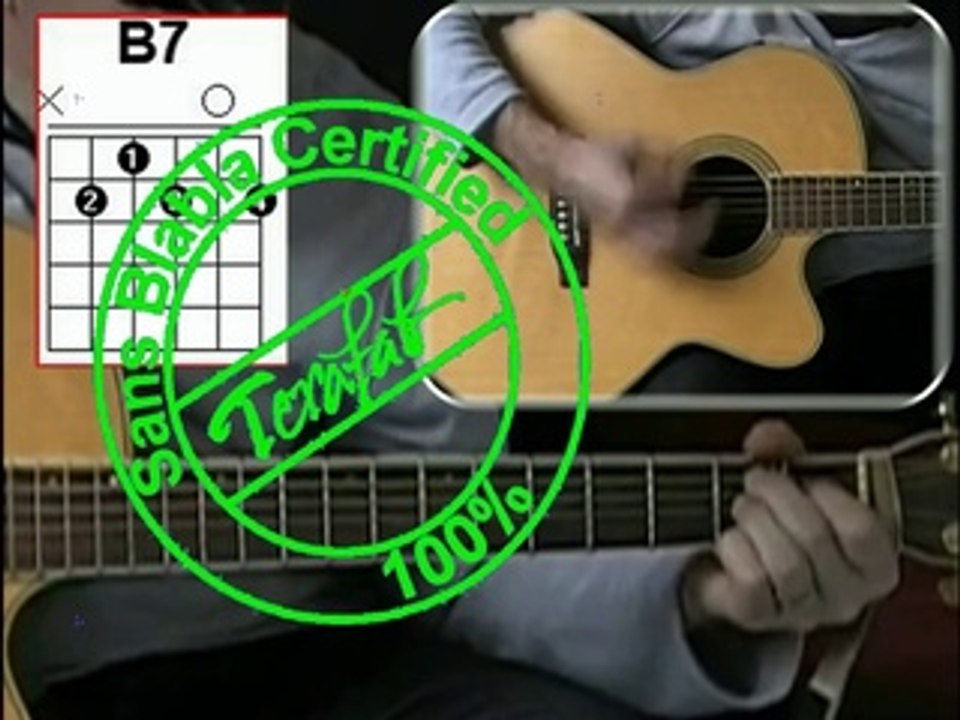 Les cactus - Jacques Dutronc [Tuto guitare] by Terafab