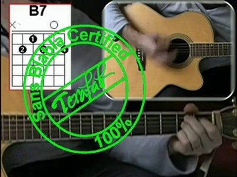 Les cactus - Jacques Dutronc [Tuto guitare] by Terafab