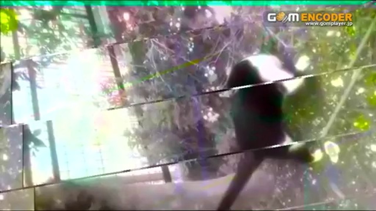 プロが教えるリンクトインビジネス活用完全バイブル　実践 検証 動画 実績 特典 購入 レビュー ブログ 暴露 評価 評判