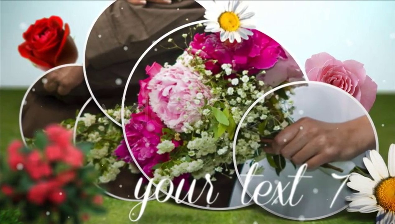 Wedding Day - After Effects Template