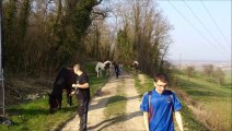 diapo balade mars 2014 avec les chevaux du domaine d'avallon