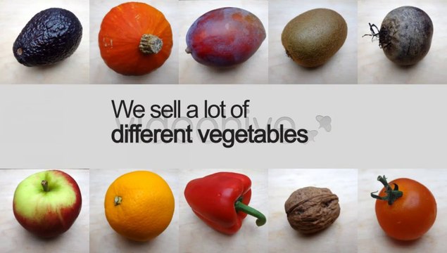 Online Store Webshop Promotion - After Effects Template