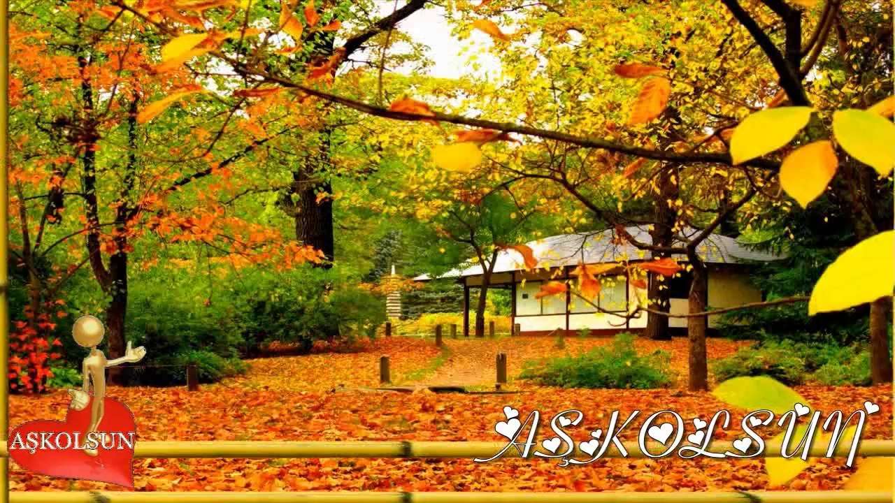 Kaybolan Yıllar (Sezen Aksu)