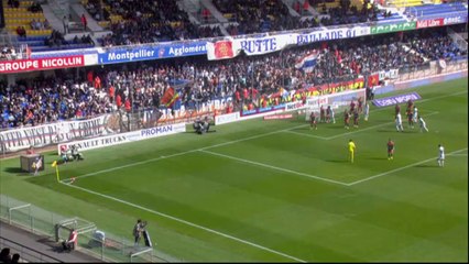 Ligue 1 - Tous les buts de la 29ème journée - 2013/2014