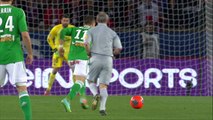 PSG - Saint-Etienne à la loupe - Ligue 1 - 29ème journée - 2013/2014