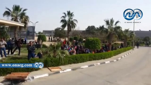 إضراب عمال مصنع أدوية بالإسماعيلية لمطالبهم بزيادة رواتبهم والحصول على حوافز متأخرة لهم