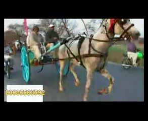jholy lal vs parwaz horse race part 1