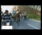 jholy lal vs parwaz horse race part 2