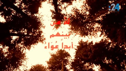 أبو تمام إذا لم تخش عاقبة الليالي