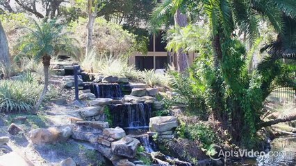 Baywater Apartments in Tampa, FL - ForRent.com