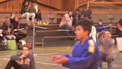 ZOLAN tournoi de la ville de StEtienne 2014