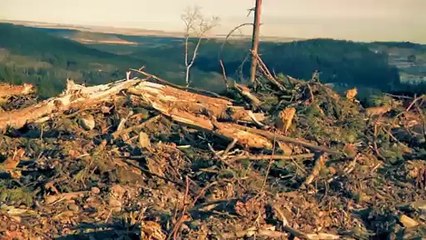 Another Way To Die - Disturbed