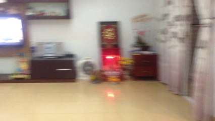 Cho Thuê căn hộ Him lam Nam Sai Gòn khu Trung Sơn