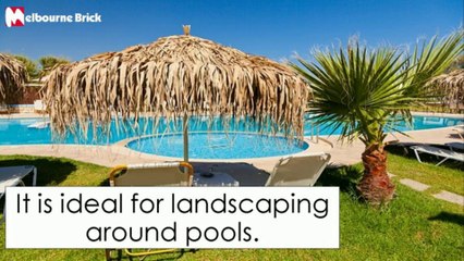 Discover the Top Benefits of Synthetic Grass from Melbourne Brick 🌱