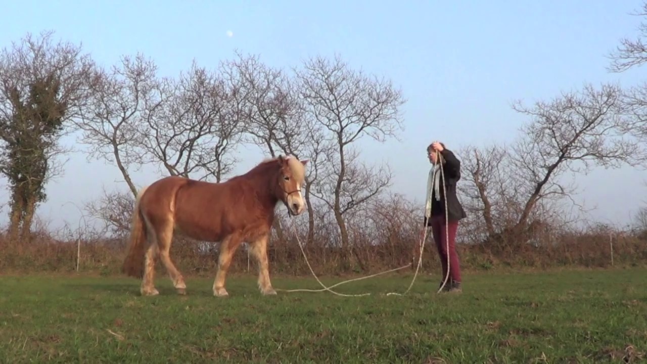 Kandie Mars 2014