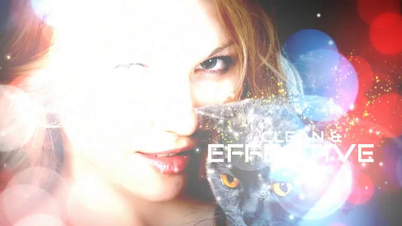 Glow And Glitters - Slide Show - After Effects Template