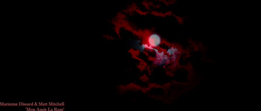 Françoise Hardy cover / reprise ' Mon Amie La Rose '