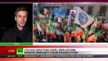 Ciao! Senators expel Berlusconi from Parliament, remove immunity