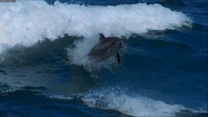 DJ CONSTANTINO MIX ULTRA TRANCE