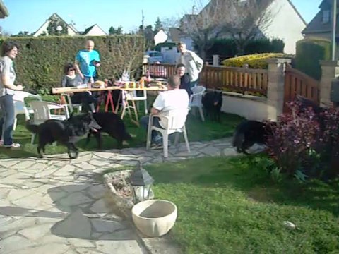 16 mars 2014 : Iron & Isis (11 mois) à Chaumontel