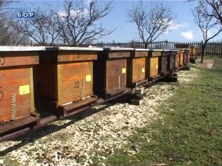 Selo moje, 16. mart 2014.