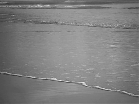 Rochefort plage (17300)