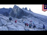 German tourist falls to death on Mount Kinabalu in Malaysia