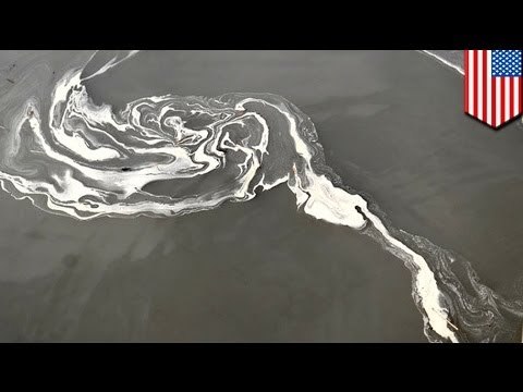 Coal ash from power plant spills into North Carolina river