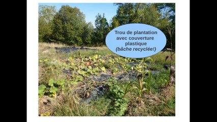 MSV 2013 - atelier apports organiques - Joan Verdugo