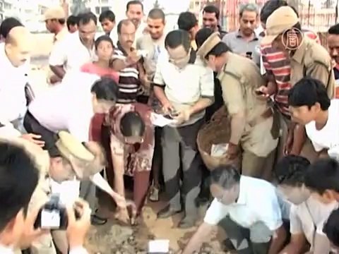 Индийцы взяли под защиту оливковых черепах