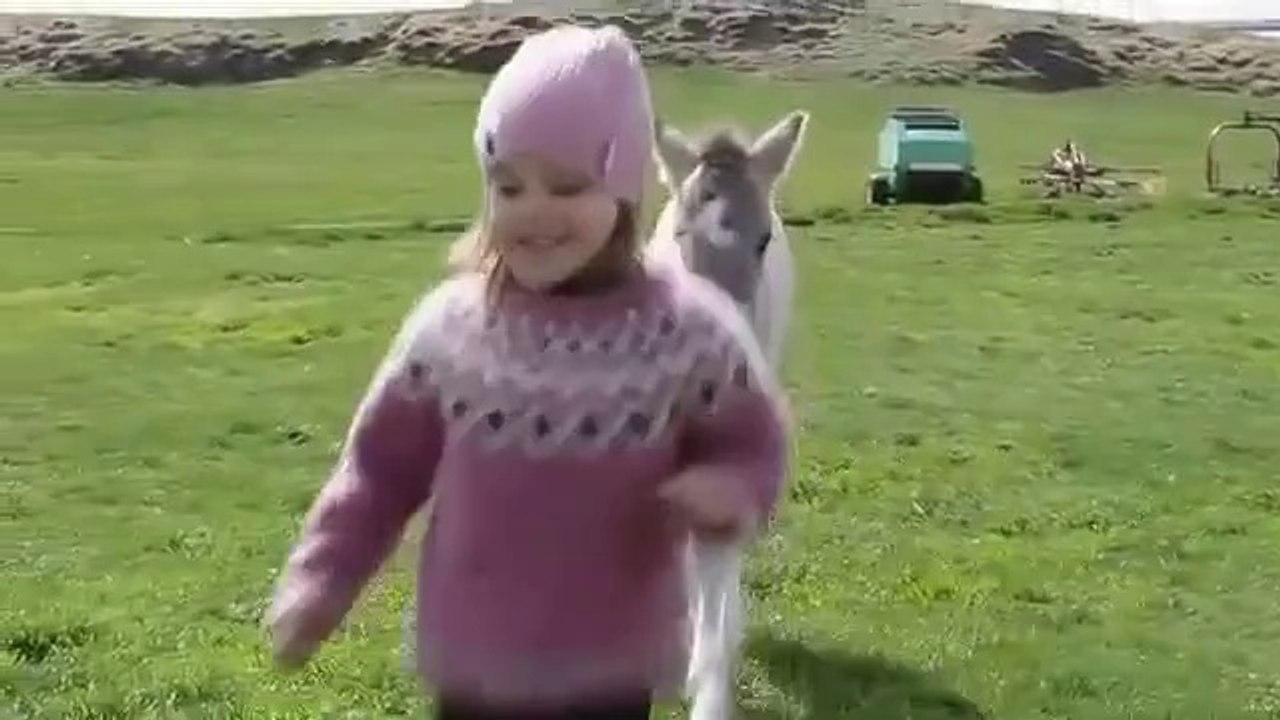 Compagni di gioco