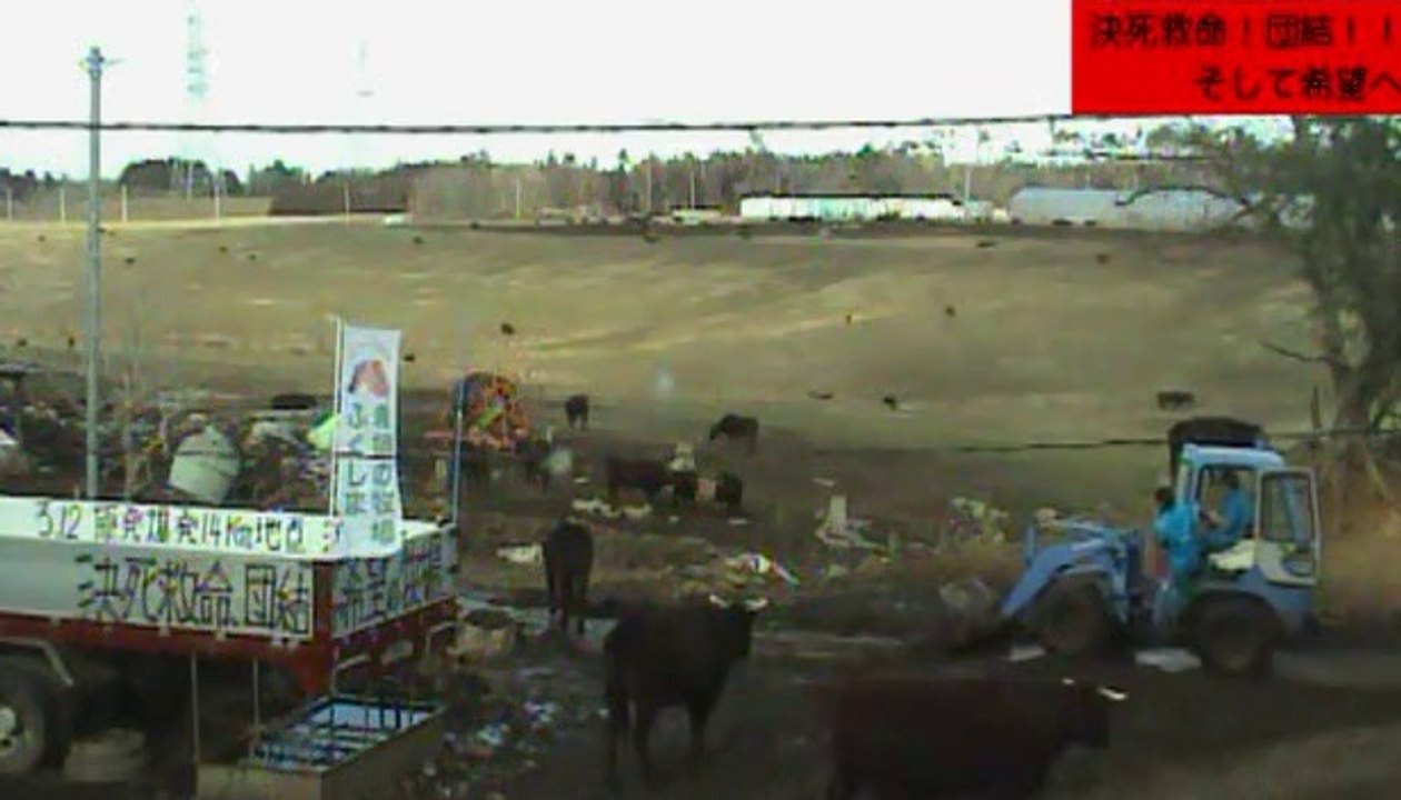 2014-03-15 15-52　牧場１号機　場内整備