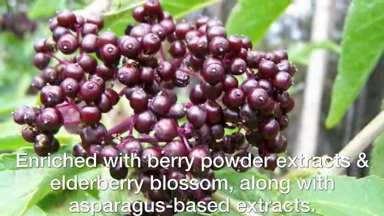 4 Best Popular Health Benefits Of Elderberry