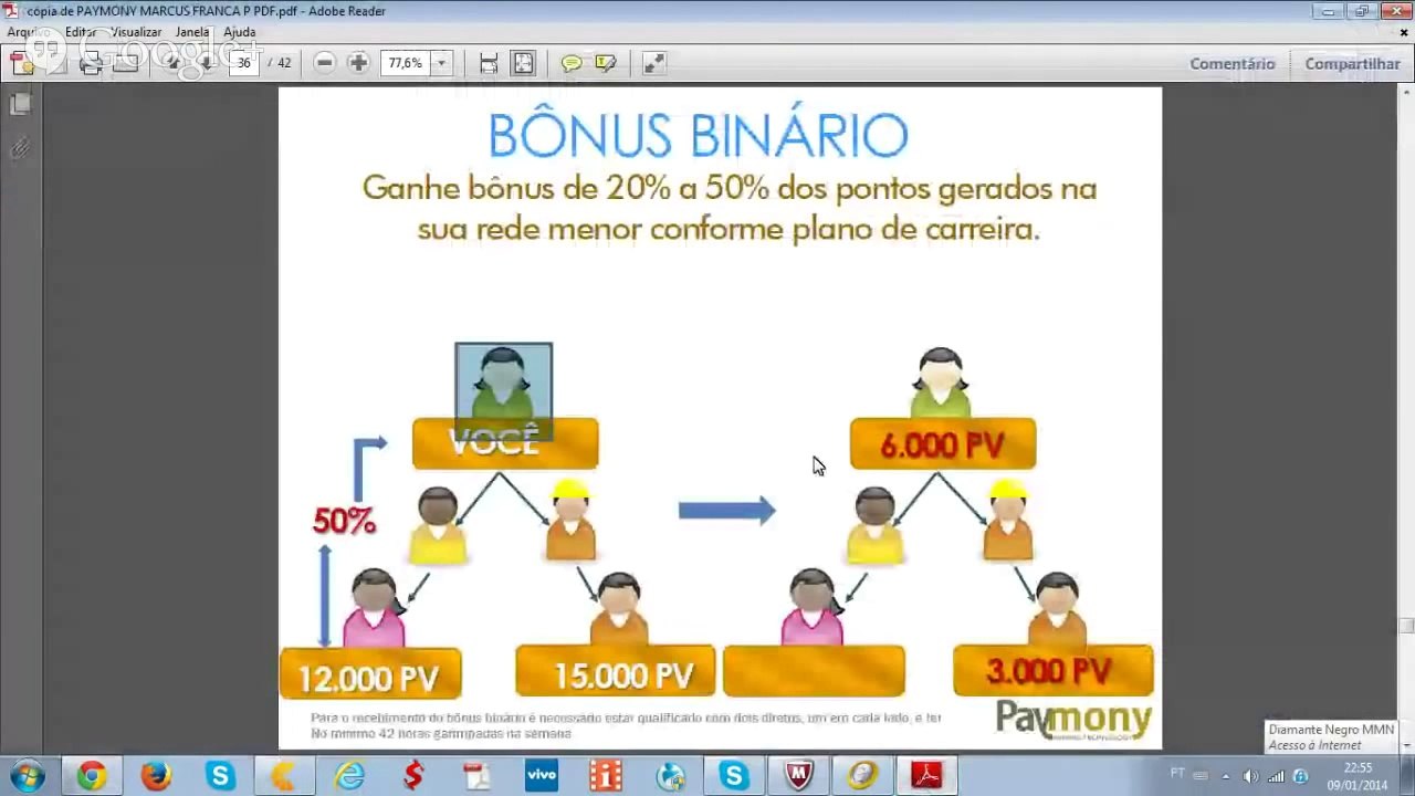 A verdade sobre a Paymony 4