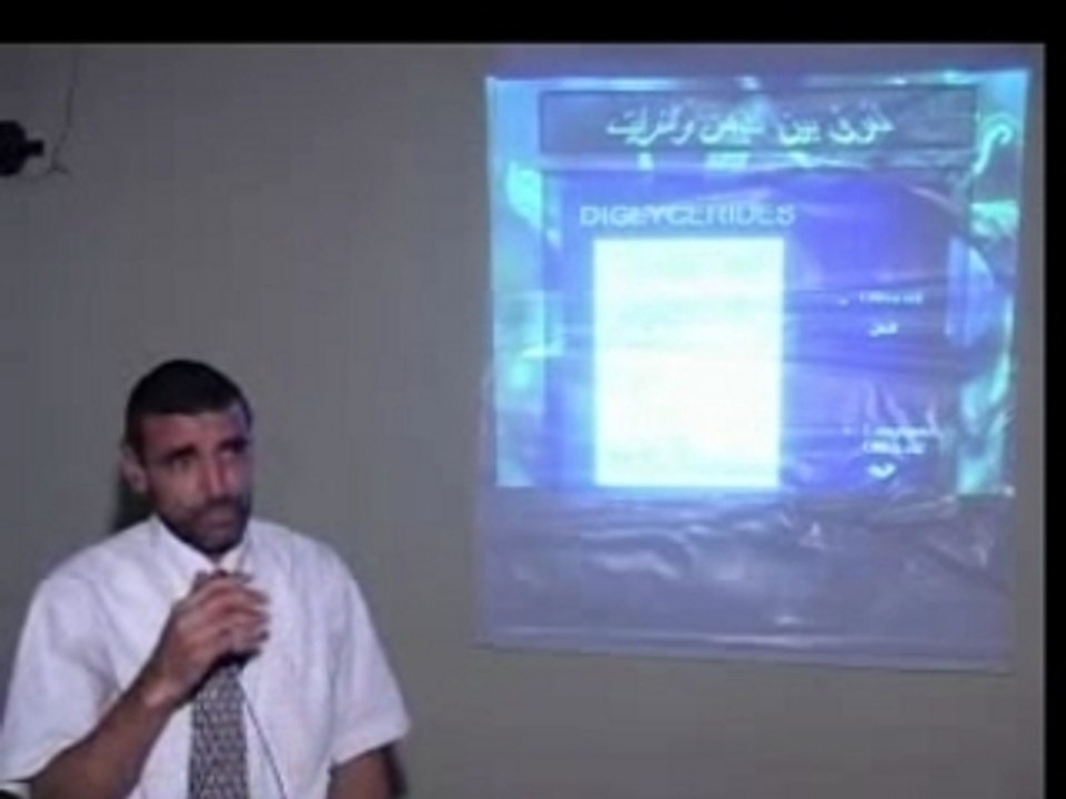 Mohammed Fayed - Olives - 1 / 2