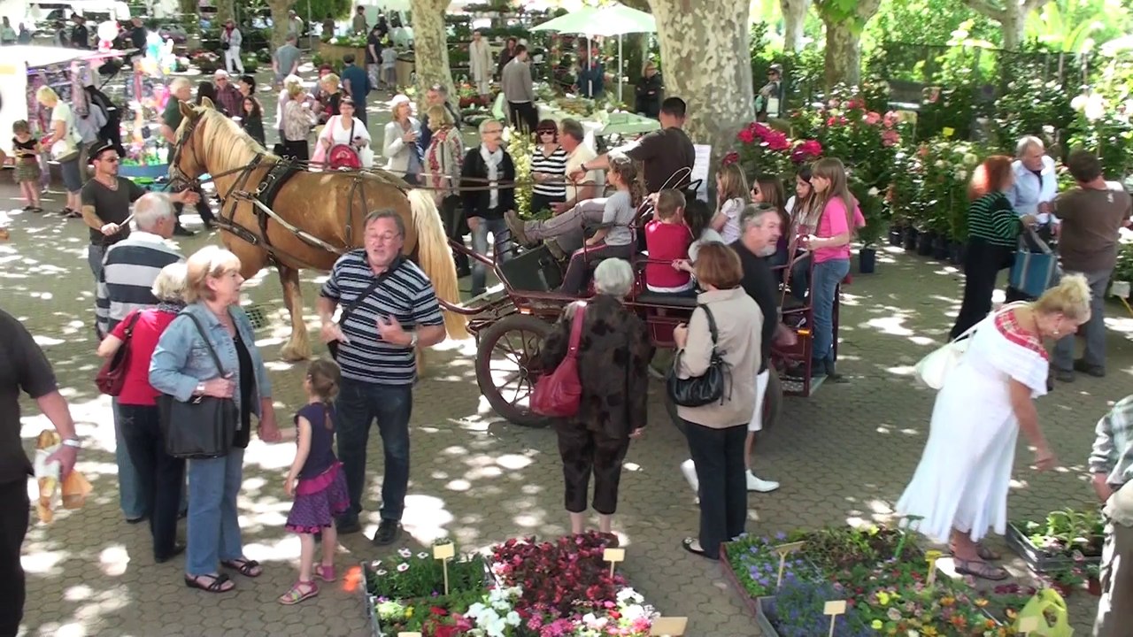 Bande-Annonce de la Fête du terroir