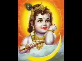 love vashikaran specialist by  babaji +91 9829938227