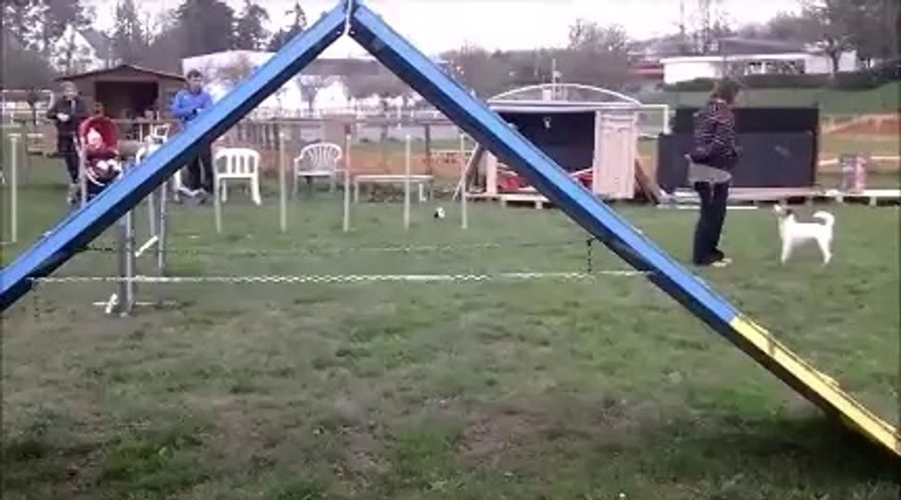 Sans Titre