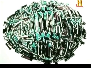 EVOLUCIÓN HUMANA SIGLO XXI