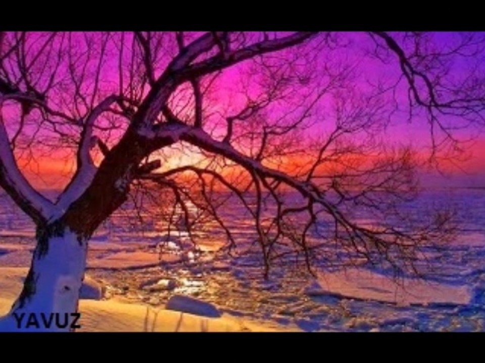 FERDİ ÖZBEĞEN-TADI YOK  NE BAHARIN NE YAZIN