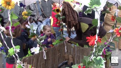 2014-03 - Loupian - Foire Languedocienne-1