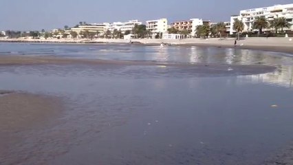 Les plages de Saint-Laurent-du-Var s'enlisent à cause du limon