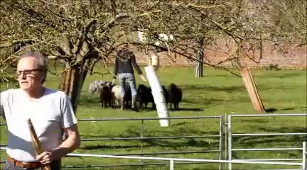 keiko troupeau 2014-03-16 mail