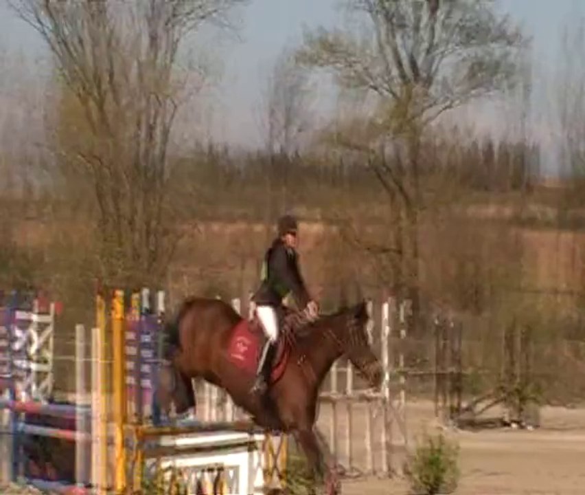 Championnats départementaux de l'Aude, CSO, Club Elite