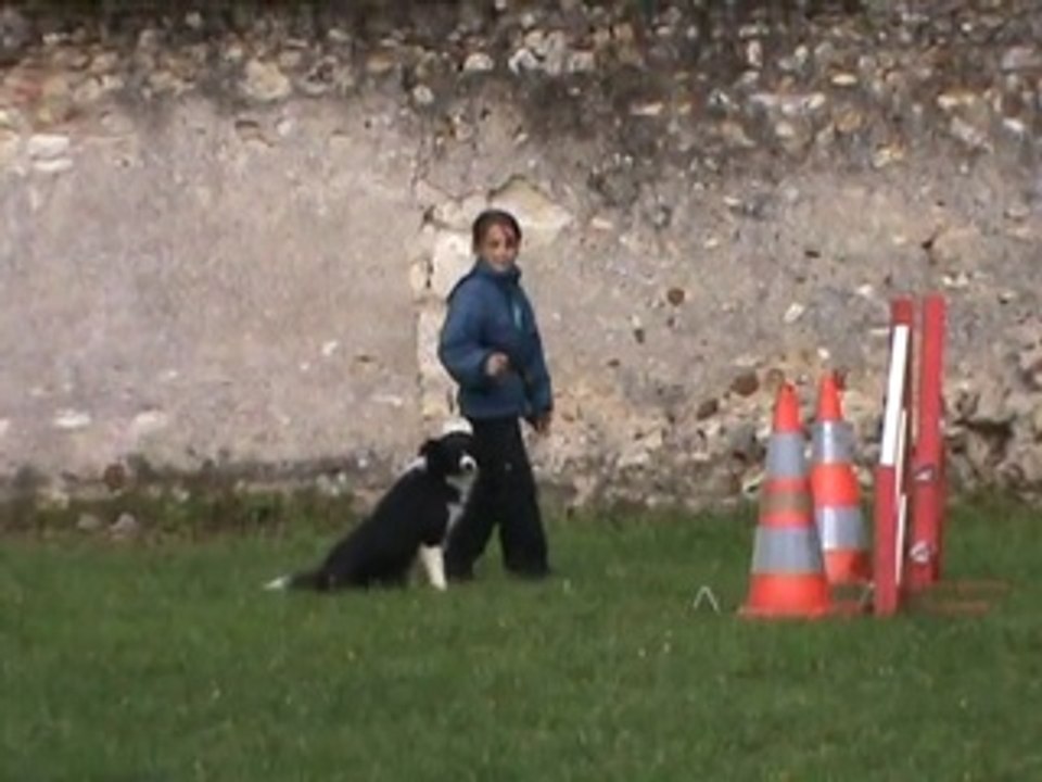 27/10/2013  Entrainement Agility Cindy 10 ans , Sun 2 ans . CVLB.